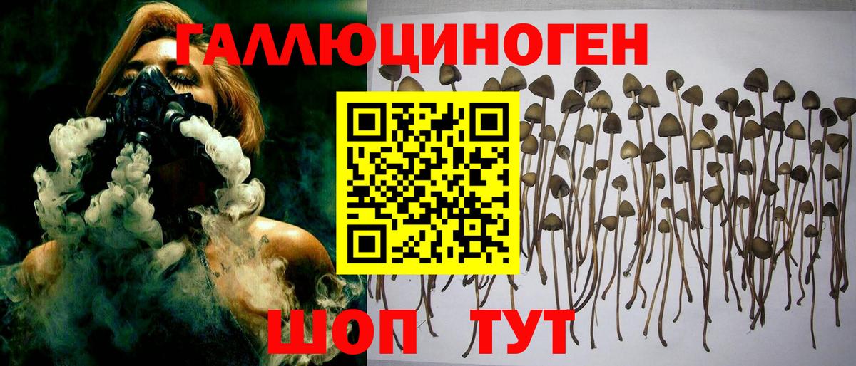 Галлюциногенные грибы GOLDEN TEACHER  Вход с VPN  Волгодонск 