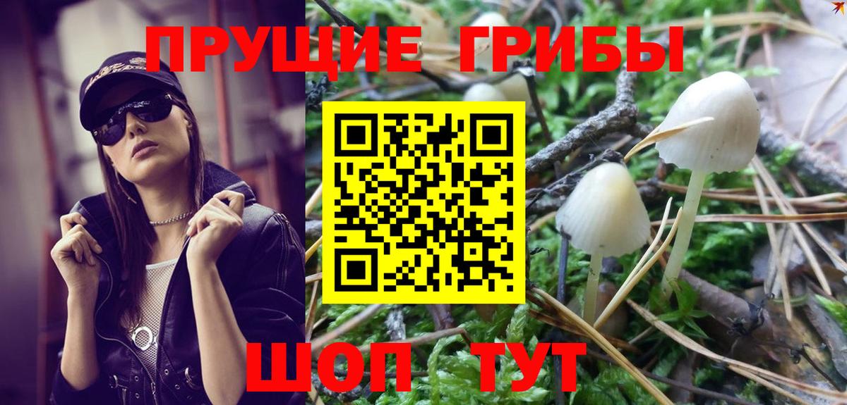 Псилоцибиновые грибы MAGIC MUSHROOMS Волгодонск